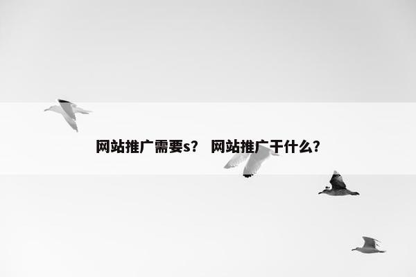 网站推广需要s？ 网站推广干什么？