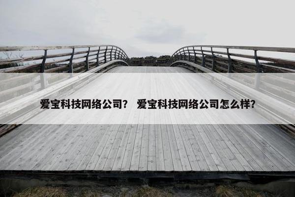 爱宝科技网络公司？ 爱宝科技网络公司怎么样？