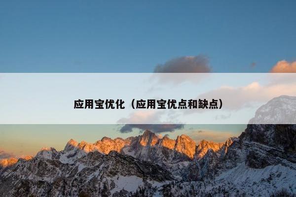 应用宝优化（应用宝优点和缺点）