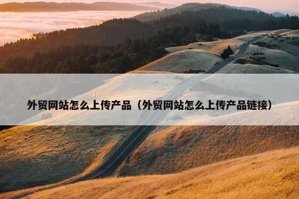 外贸网站怎么上传产品（外贸网站怎么上传产品链接）