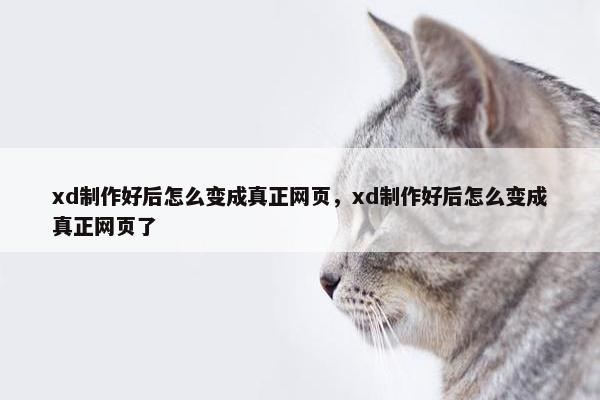 xd制作好后怎么变成真正网页，xd制作好后怎么变成真正网页了