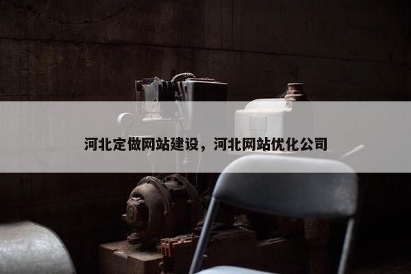 河北定做网站建设，河北网站优化公司