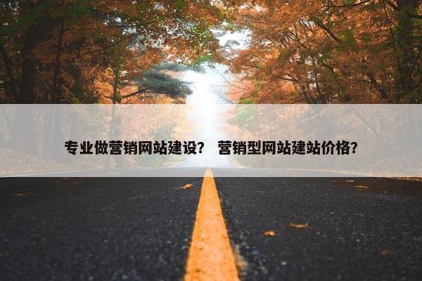 专业做营销网站建设？ 营销型网站建站价格？
