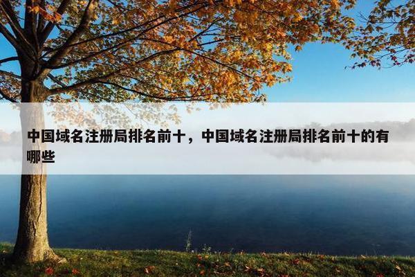 中国域名注册局排名前十，中国域名注册局排名前十的有哪些