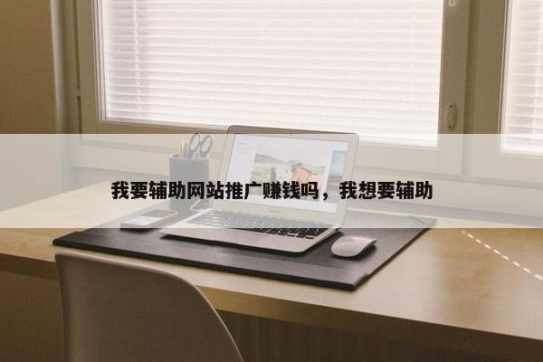 我要辅助网站推广赚钱吗，我想要辅助