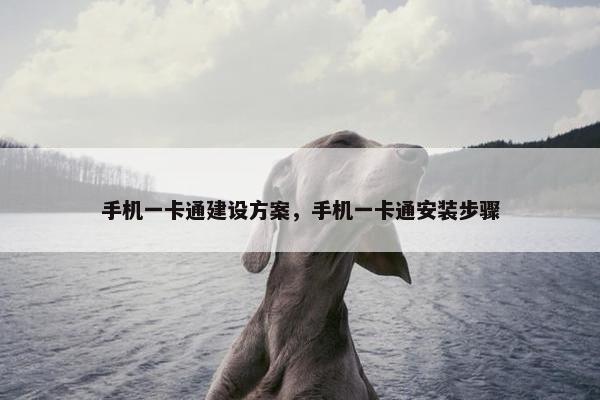 手机一卡通建设方案，手机一卡通安装步骤