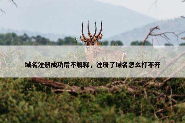 域名注册成功后不解释，注册了域名怎么打不开