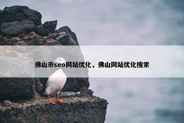 佛山市seo网站优化，佛山网站优化搜索