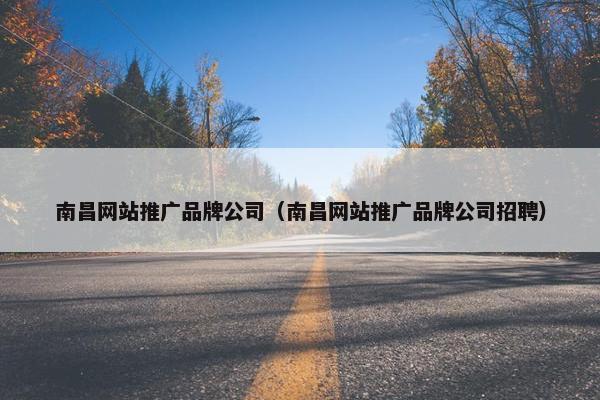 南昌网站推广品牌公司（南昌网站推广品牌公司招聘）