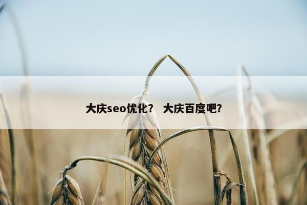大庆seo优化？ 大庆百度吧？