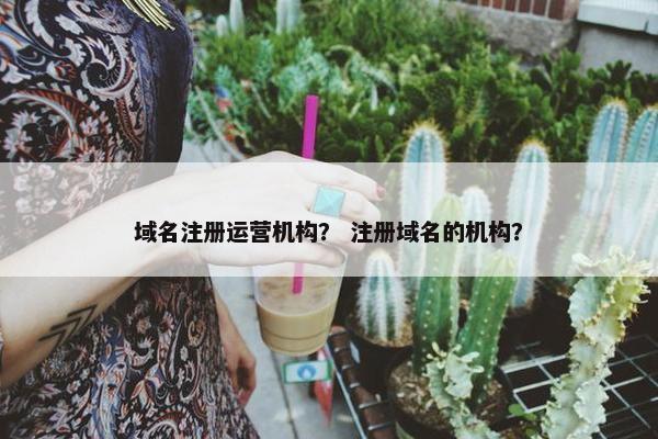 域名注册运营机构？ 注册域名的机构？
