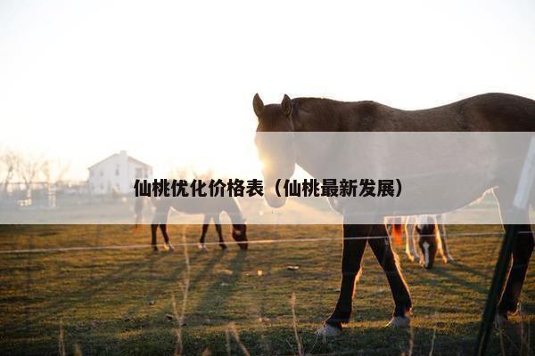 仙桃优化价格表（仙桃最新发展）