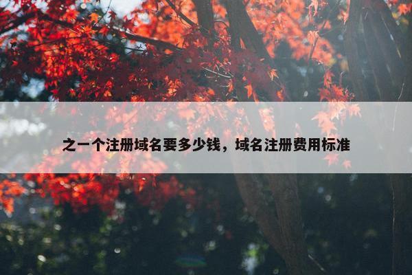 之一个注册域名要多少钱，域名注册费用标准