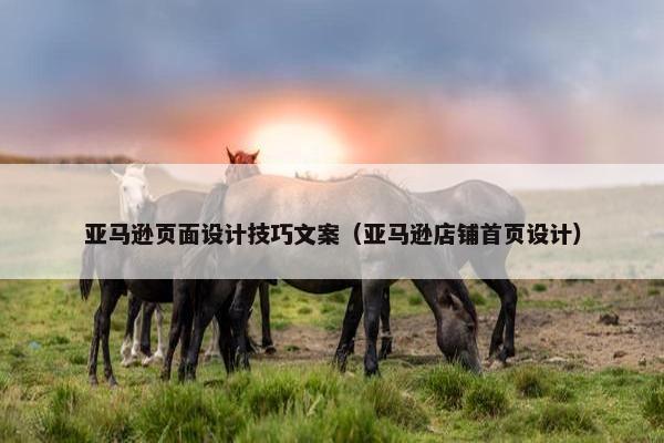 亚马逊页面设计技巧文案（亚马逊店铺首页设计）
