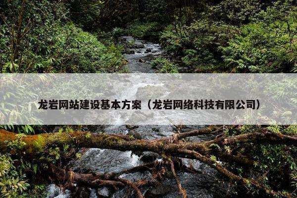 龙岩网站建设基本方案（龙岩网络科技有限公司）
