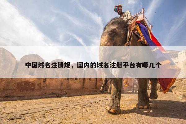 中国域名注册规，国内的域名注册平台有哪几个
