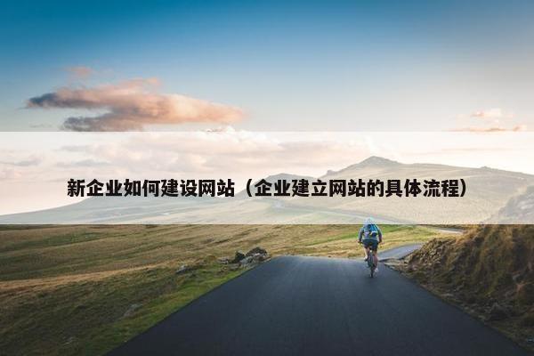 新企业如何建设网站（企业建立网站的具体流程）