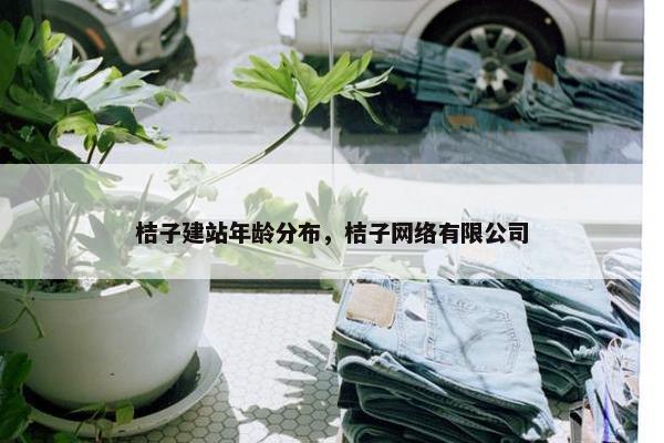 桔子建站年龄分布，桔子网络有限公司