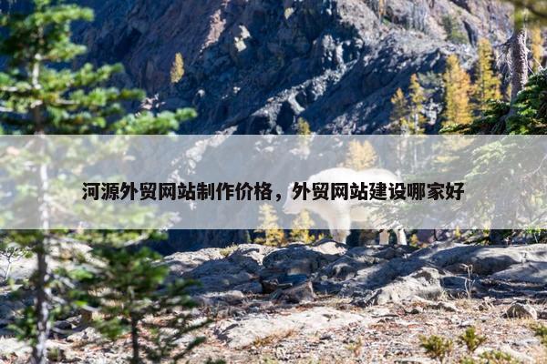 河源外贸网站制作价格，外贸网站建设哪家好