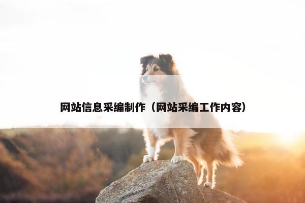 网站信息采编制作（网站采编工作内容）