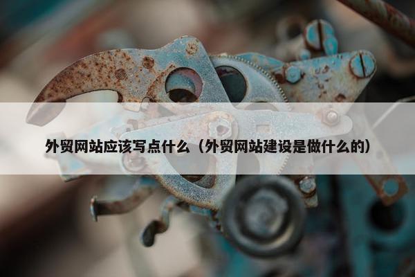 外贸网站应该写点什么（外贸网站建设是做什么的）