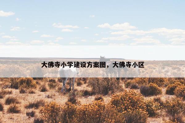 大佛寺小学建设方案图，大佛寺小区