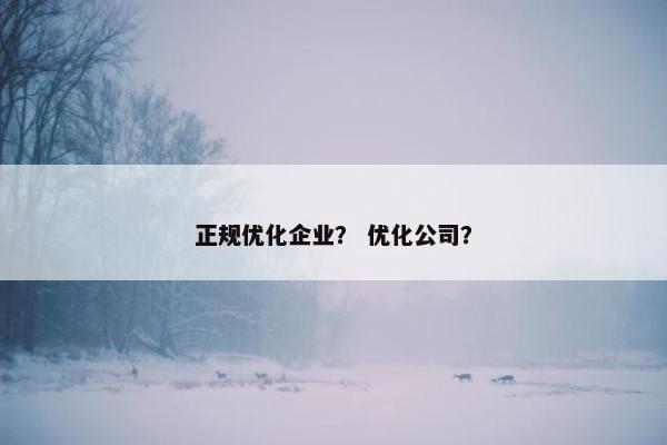 正规优化企业？ 优化公司？