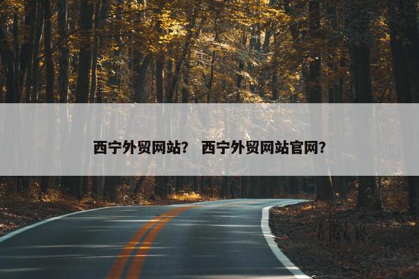 西宁外贸网站？ 西宁外贸网站官网？