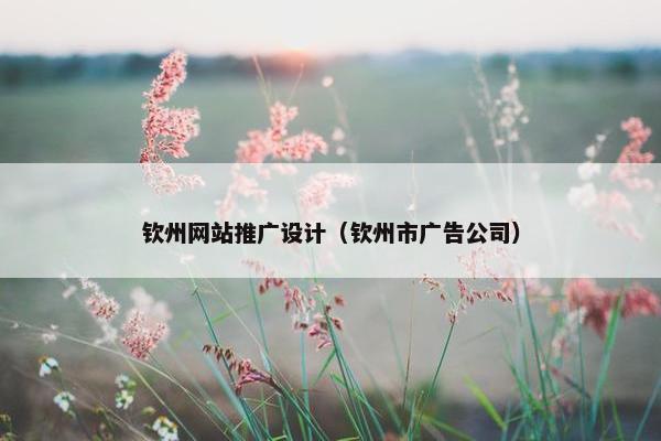 钦州网站推广设计（钦州市广告公司）