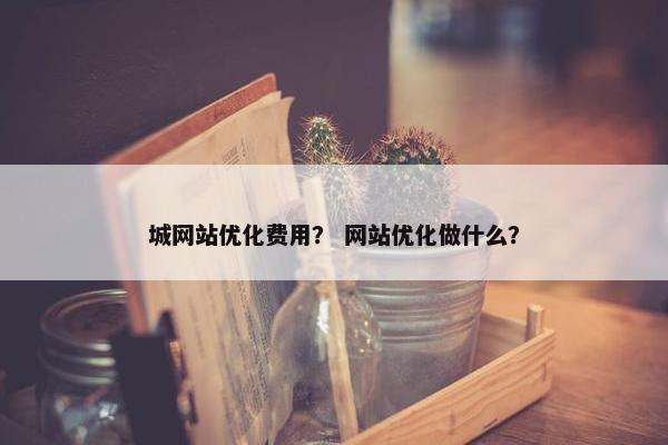 城网站优化费用？ 网站优化做什么？