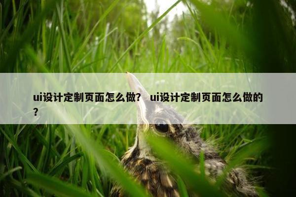 ui设计定制页面怎么做？ ui设计定制页面怎么做的？