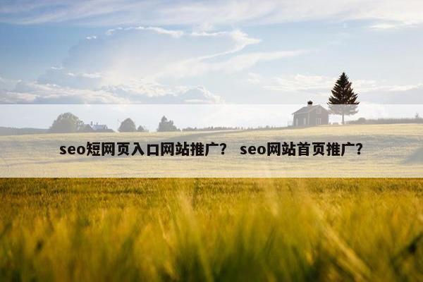 seo短网页入口网站推广？ seo网站首页推广？