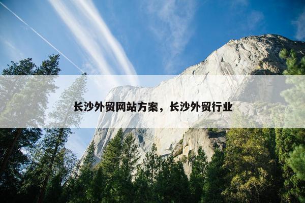 长沙外贸网站方案，长沙外贸行业