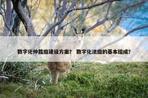 数字化仲裁庭建设方案？ 数字化法庭的基本组成？