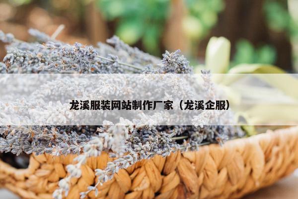 龙溪服装网站制作厂家（龙溪企服）