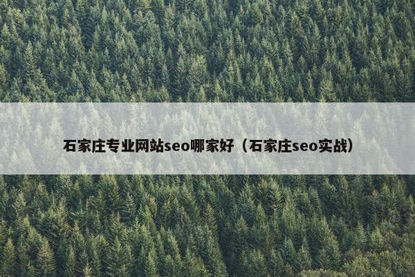 石家庄专业网站seo哪家好（石家庄seo实战）