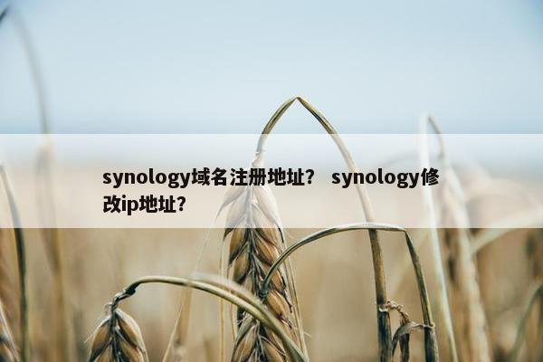 synology域名注册地址？ synology修改ip地址？