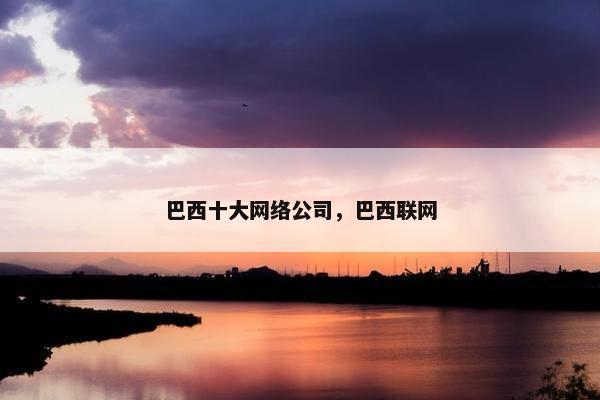巴西十大网络公司，巴西联网