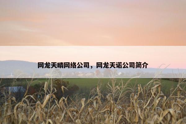 网龙天晴网络公司，网龙天诺公司简介