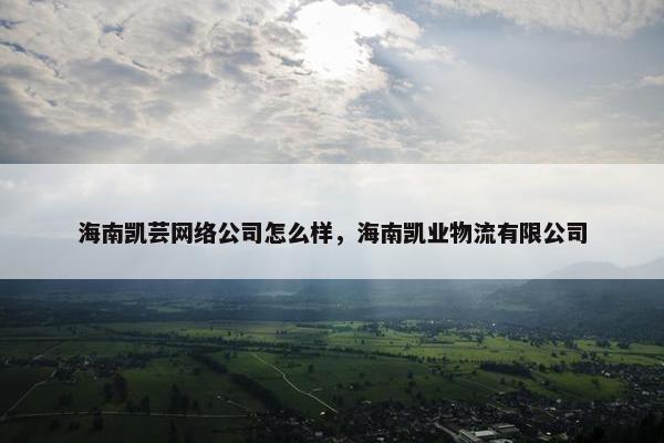 海南凯芸网络公司怎么样，海南凯业物流有限公司