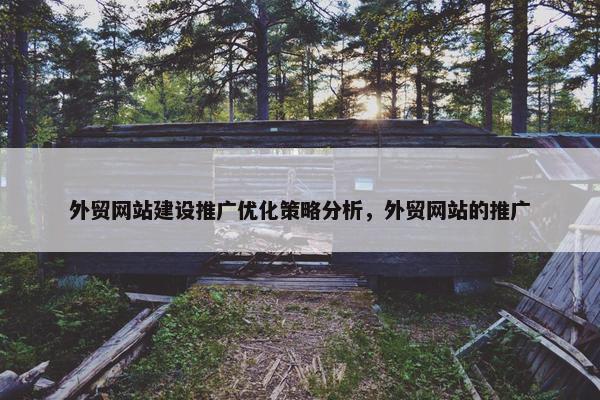 外贸网站建设推广优化策略分析，外贸网站的推广