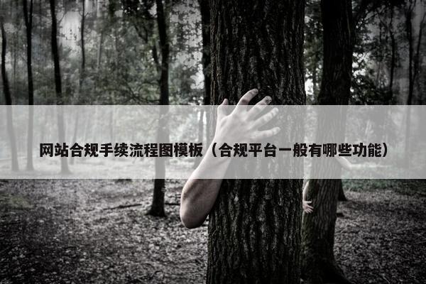 网站合规手续流程图模板（合规平台一般有哪些功能）