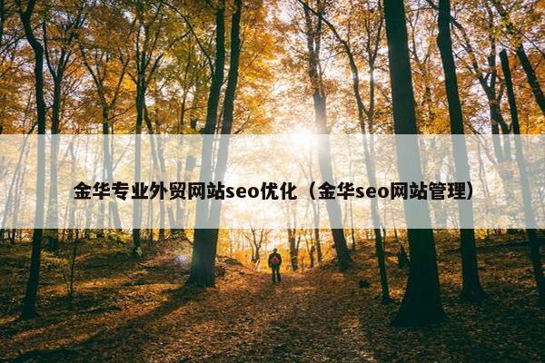 金华专业外贸网站seo优化（金华seo网站管理）