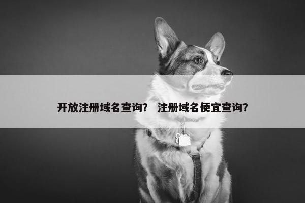 开放注册域名查询？ 注册域名便宜查询？