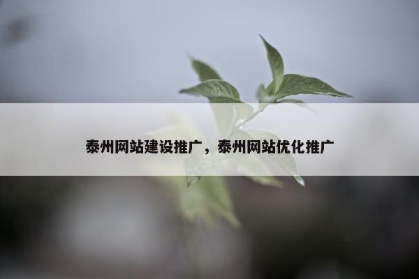 泰州网站建设推广，泰州网站优化推广