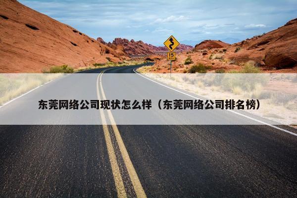 东莞网络公司现状怎么样（东莞网络公司排名榜）