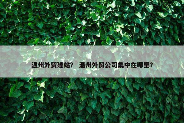 温州外贸建站？ 温州外贸公司集中在哪里？