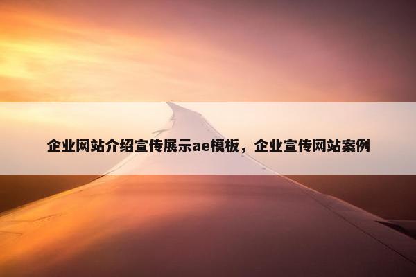 企业网站介绍宣传展示ae模板，企业宣传网站案例