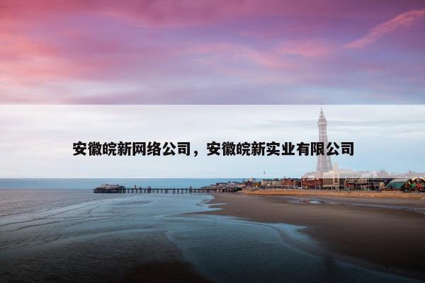 安徽皖新网络公司，安徽皖新实业有限公司