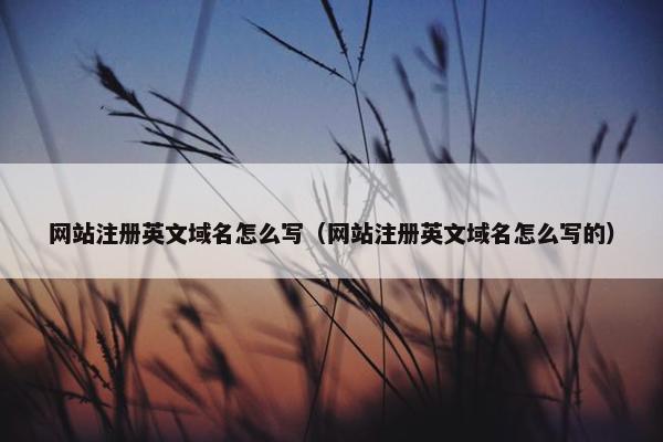 网站注册英文域名怎么写（网站注册英文域名怎么写的）